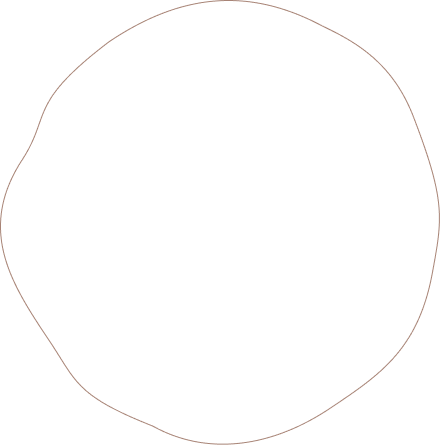 茶色い流動シェイプの線画像